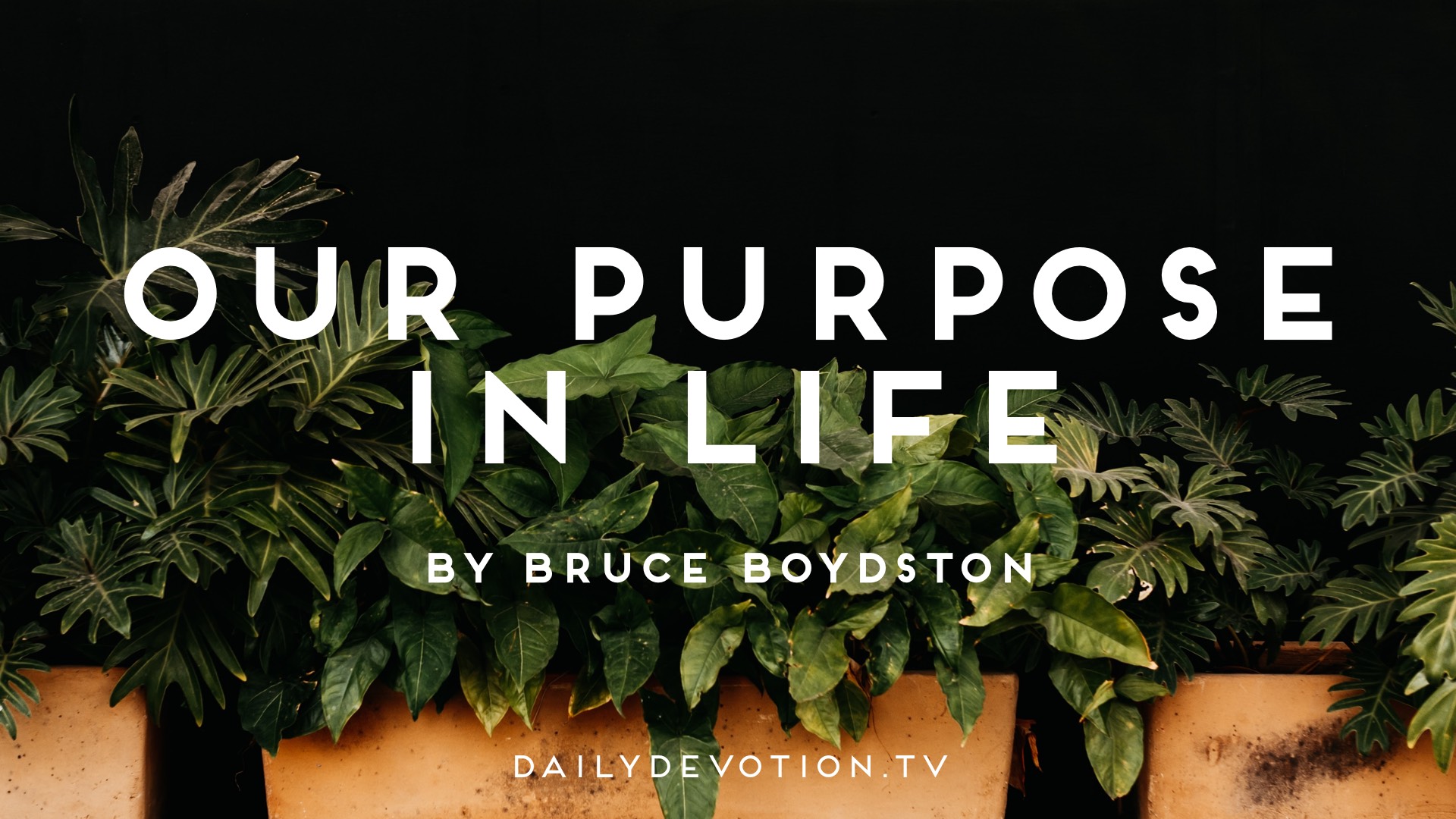 Our Purpose in Life - Daily Devotion